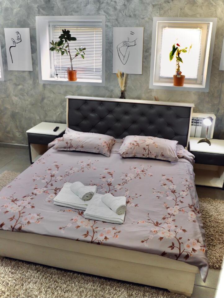 Cazare Moldi - Regim Hotelier Câmpulung Moldovenesc Exteriér fotografie